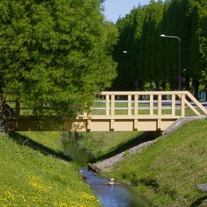 Tiltiņš Reņķa dārzā Tiltiņš Reņķa dārzā