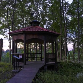 Lapene Ērgļu viduslaiku pils teritorijā Lapene Ērgļu viduslaiku pils teritorijā