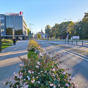 Liepājas iela ar ziedu stādījumiem Liepājas iela ar ziedu stādījumiem