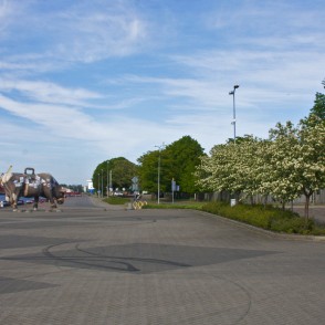 Govs ceļotāja (Pauls Spridzāns) Govs ceļotāja (Pauls Spridzāns)