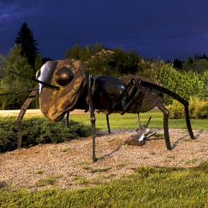 Skudra - vides objekts Siguldā Skudra - vides objekts Siguldā