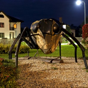 Skudra - vides objekts Siguldā Skudra - vides objekts Siguldā