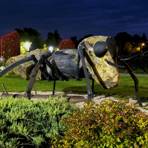 Skudra - vides objekts Siguldā Skudra - vides objekts Siguldā