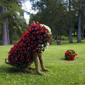 Mazstraupes pils parks (Straupes pamatskolas parks) Mazstraupes pils parks (Straupes pamatskolas parks)