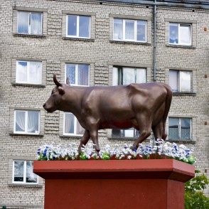 Govs koloss (Gļebs Panteļejevs) Govs koloss (Gļebs Panteļejevs)