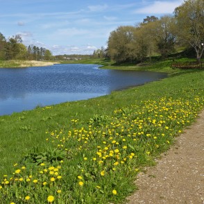 Durbes pilskalna taka Durbes pilskalna taka