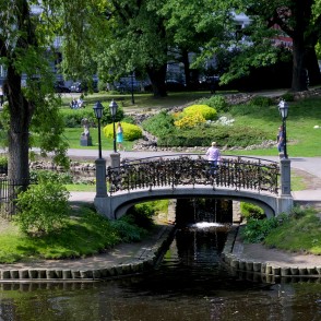 Jaunlaulāto tiltiņš kanālmalas apstādījumos pie Bastejkalna Jaunlaulāto tiltiņš kanālmalas apstādījumos pie Bastejkalna