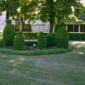Formētie krūmi Ventspilī Formētie krūmi Ventspilī