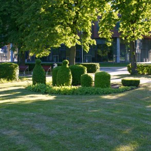 Formētie krūmi Ventspilī Formētie krūmi Ventspilī