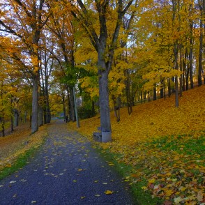 Smiltenes parks Rudenī Smiltenes parks Rudenī