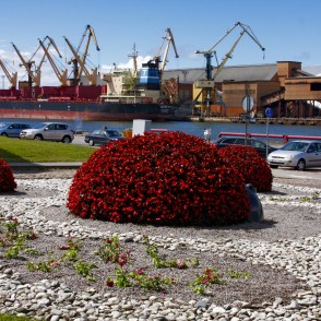 Puķu skulptūras “Mārītes” Puķu skulptūras “Mārītes”