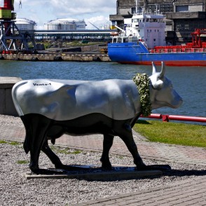 Jūras govs (Ieva Maurīte) Jūras govs (Ieva Maurīte)