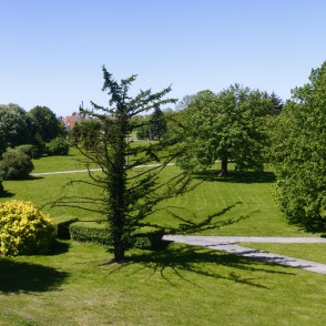 Tilta dārza panorāma Tilta dārza panorāma