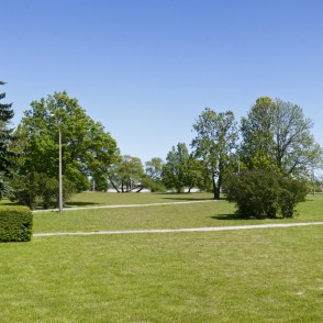 Tilta dārza panorāma Tilta dārza panorāma