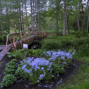 Zasas muižas parks Zasas muižas parks