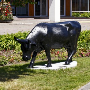 Piena ceļš (Mārīte Guščika) Piena ceļš (Mārīte Guščika)