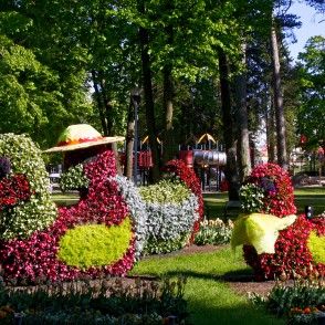 Puķu skulptūra “Pīļu ģimene" Puķu skulptūra “Pīļu ģimene"