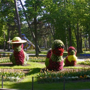 Puķu skulptūra “Pīļu ģimene" Puķu skulptūra “Pīļu ģimene"