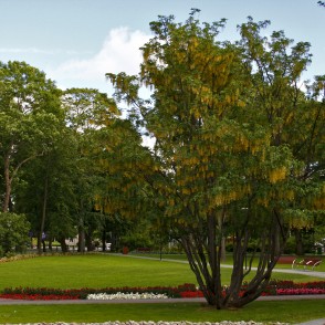 Jaunpilsētas laukums Ventspilī Jaunpilsētas laukums Ventspilī