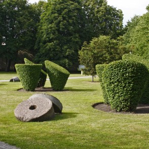 Formētie krūmi Dzirnavu laukumā Formētie krūmi Dzirnavu laukumā