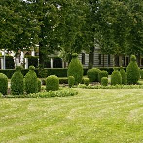 Formētie krūmi Dzirnavu laukumā Formētie krūmi Dzirnavu laukumā