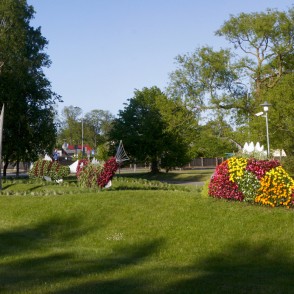 Puķu skulptūra "Zemūdens pasaule" Puķu skulptūra "Zemūdens pasaule"