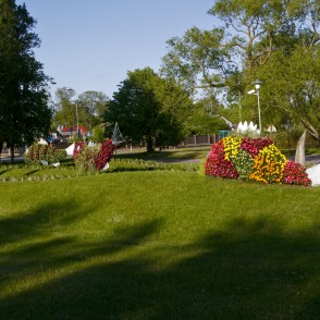 Puķu skulptūra "Zemūdens pasaule" Puķu skulptūra "Zemūdens pasaule"