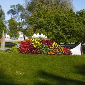 Puķu skulptūra "Zemūdens pasaule" Puķu skulptūra "Zemūdens pasaule"