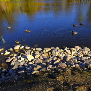 Alūksnes Jaunās pils dīķis Alūksnes Jaunās pils dīķis