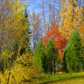 Alūksnes pils parks rudenī Alūksnes pils parks rudenī