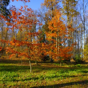 Alūksnes pils parks rudenī Alūksnes pils parks rudenī