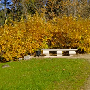 Akmens sols Alūksnes pils parkā Akmens sols Alūksnes pils parkā