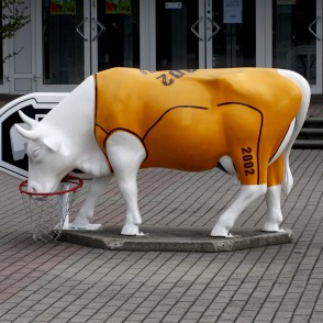 Basketbola govs Ms. Moo-Dunk Basketbola govs Ms. Moo-Dunk