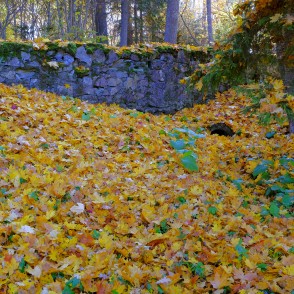 Alūksnes pils parks rudenī Alūksnes pils parks rudenī