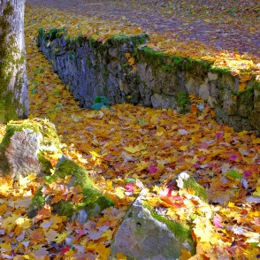 Alūksnes pils parks rudenī Alūksnes pils parks rudenī