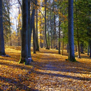 Alūksnes pils parks rudenī Alūksnes pils parks rudenī