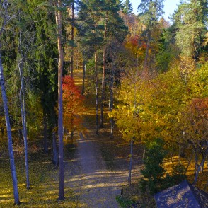 Skatoties no Alūksnes skatu torņa Skatoties no Alūksnes skatu torņa
