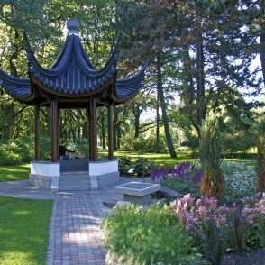 Ķīnas lapene Rīgas kanālmalas apstādījumos Ķīnas lapene Rīgas kanālmalas apstādījumos