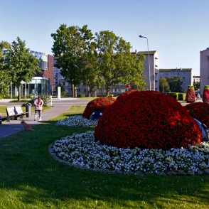 Puķu skulptūra “Mārīšu ģimene” Pārventā Puķu skulptūra “Mārīšu ģimene” Pārventā