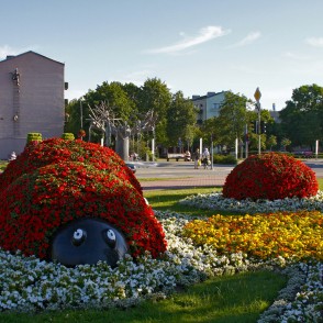 Puķu skulptūra “Mārīšu ģimene” Pārventā Puķu skulptūra “Mārīšu ģimene” Pārventā