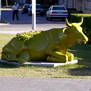 Ventspils Zāļu govs Ventspils Zāļu govs