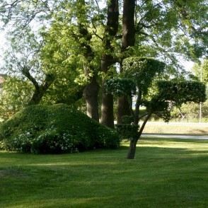 Formētie krūmi Reņķu dārzā Formētie krūmi Reņķu dārzā