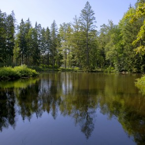 Spārītes parks Spārītes parks