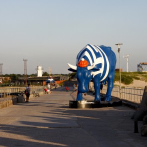 Govs Matrozis (Augusts Vilcāns) Govs Matrozis (Augusts Vilcāns)