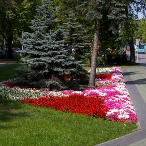 Jaunpilsētas laukums Ventspilī Jaunpilsētas laukums Ventspilī