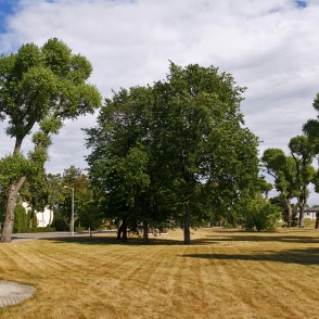 Parks - Zviedru valnis Parks - Zviedru valnis