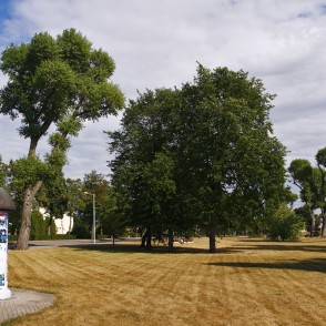 Parks - Zviedru valnis Parks - Zviedru valnis