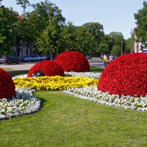 Puķu skulptūra “Mārīšu ģimene” Pārventā Puķu skulptūra “Mārīšu ģimene” Pārventā
