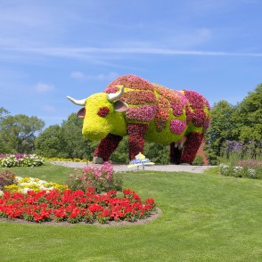 Ziedu skulptūra PUĶU GOVS Ziedu skulptūra PUĶU GOVS