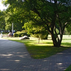 Dzirnavu laukuma ainava Dzirnavu laukuma ainava